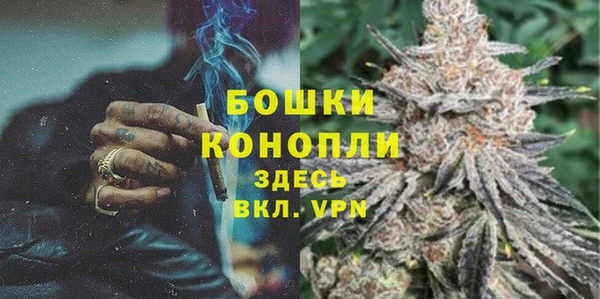 прущая мука Вяземский